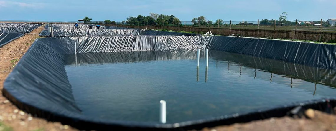 Leister TWINNY S, Soldas Confiáveis para Fazendas de Camarão