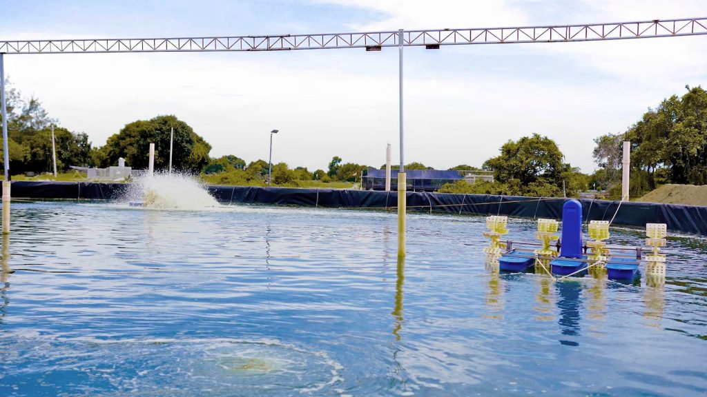 Sustentabilidade na aquicultura com Leister